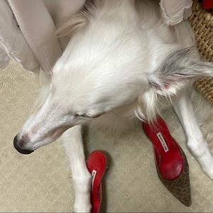 Carrie Bradshaw???  Manolo Blaniks BABY!
